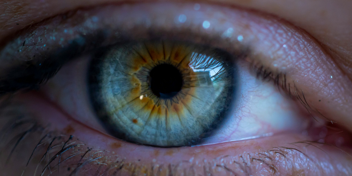 Photographie d'un œil en gros plan, avec une iris passant du jaune près de la pupille au bleu pâle