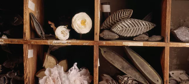 Atelier Guillet Parurier floral