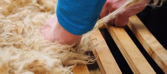 Atelier de transformation de la laine