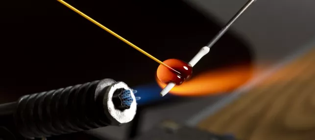 ©Sebastien Di Silvestro