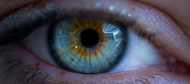 Photographie d'un œil en gros plan, avec une iris passant du jaune près de la pupille au bleu pâle