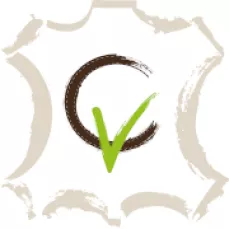 un C brun recouvert d'un V vert sur une peau beige