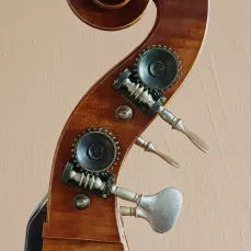 Tête de contrebasse