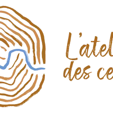 logo de cernes de bois traversé par le tracé d'une rivière 