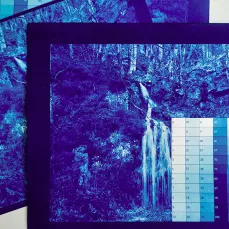 exemple de tirage de calibration en cyanotype, formation pro