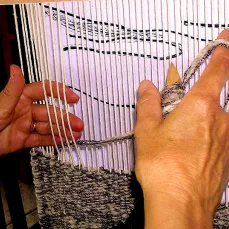 gros plan sur les mains de la licière