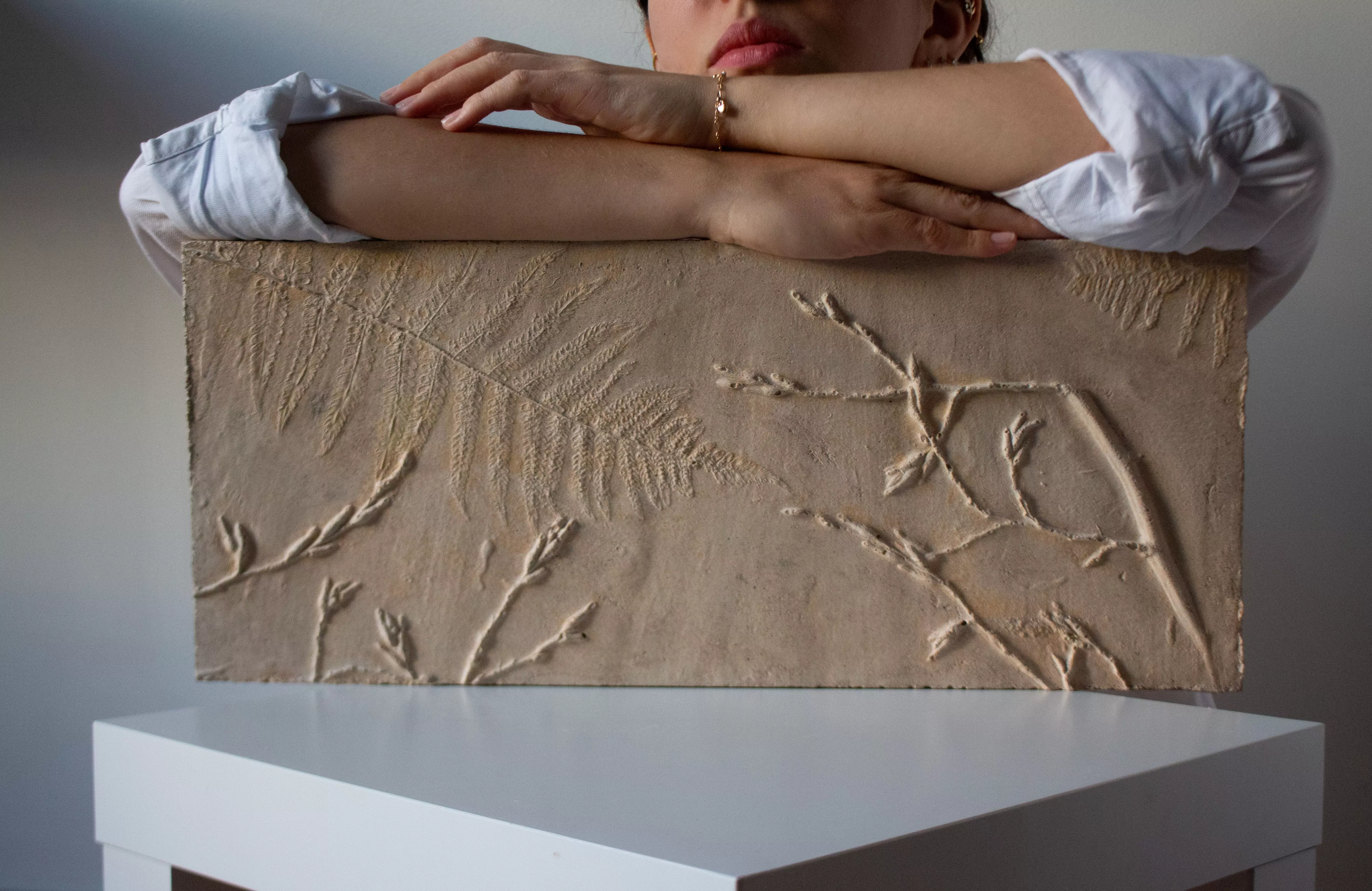 Image Projet Empreintes Colorées : N°9 – « Empreintes, Pteridium aquilinum et Carpinus betulus » (2022)