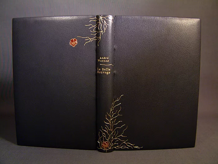 plein chagrin poli avec mosaïques serties et dorure à la feuille d'or