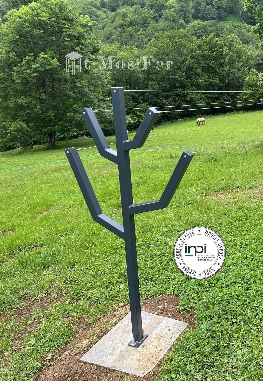 étendoir à linge original cactus, poteau à linges cactus, séchoir à linges cactus