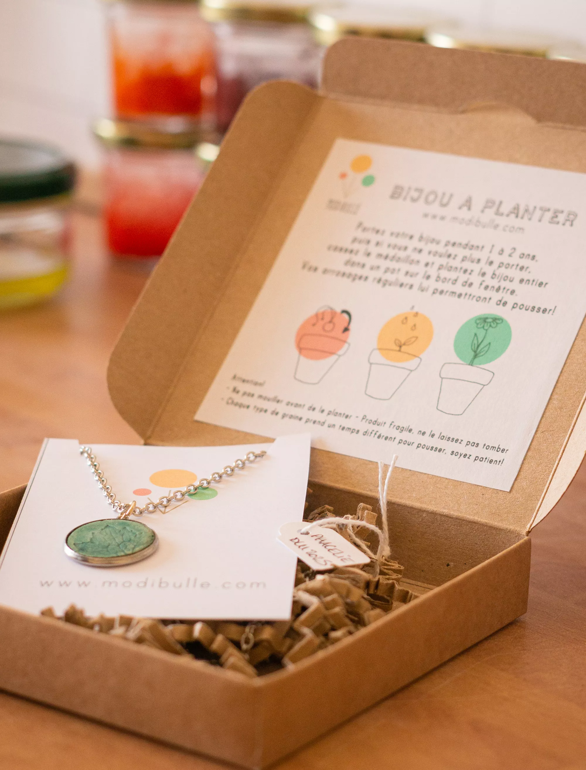 bijou à planter dans sa boite modibulle