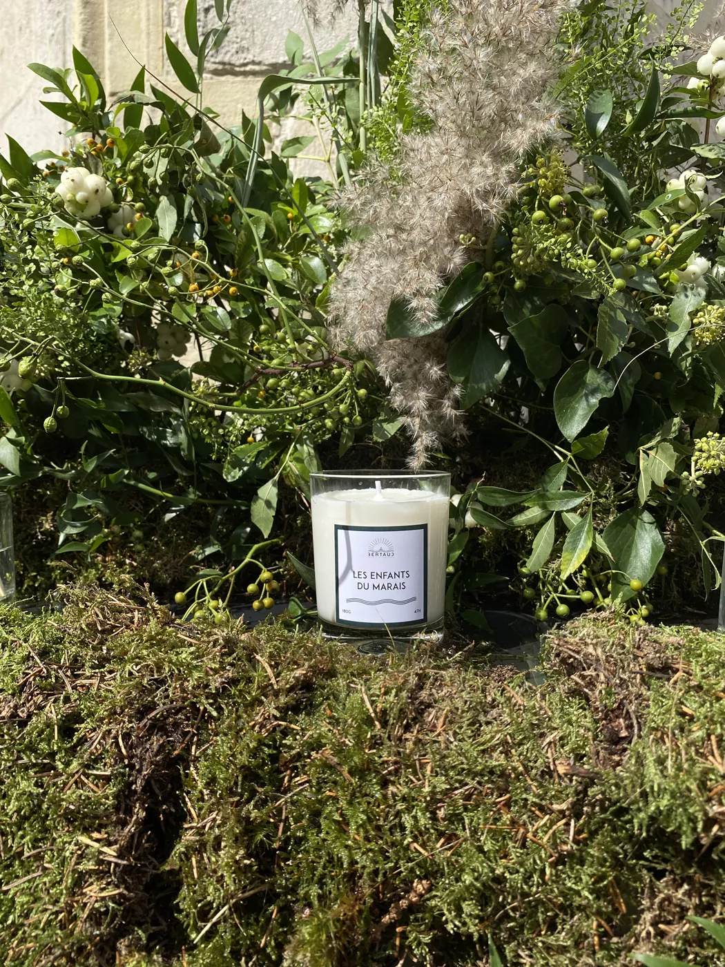 Bougie parfumée "Les enfants du marais" à la senteur de peuplier.