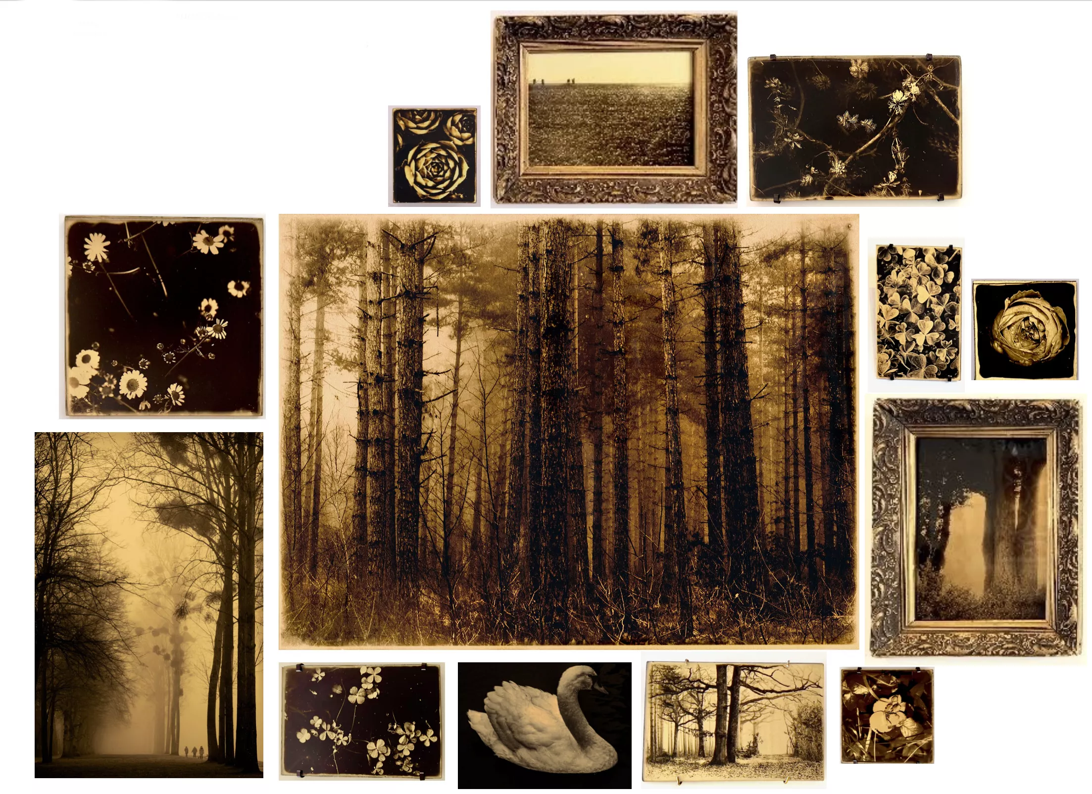 Orotones Emblemonde Caroline Chik