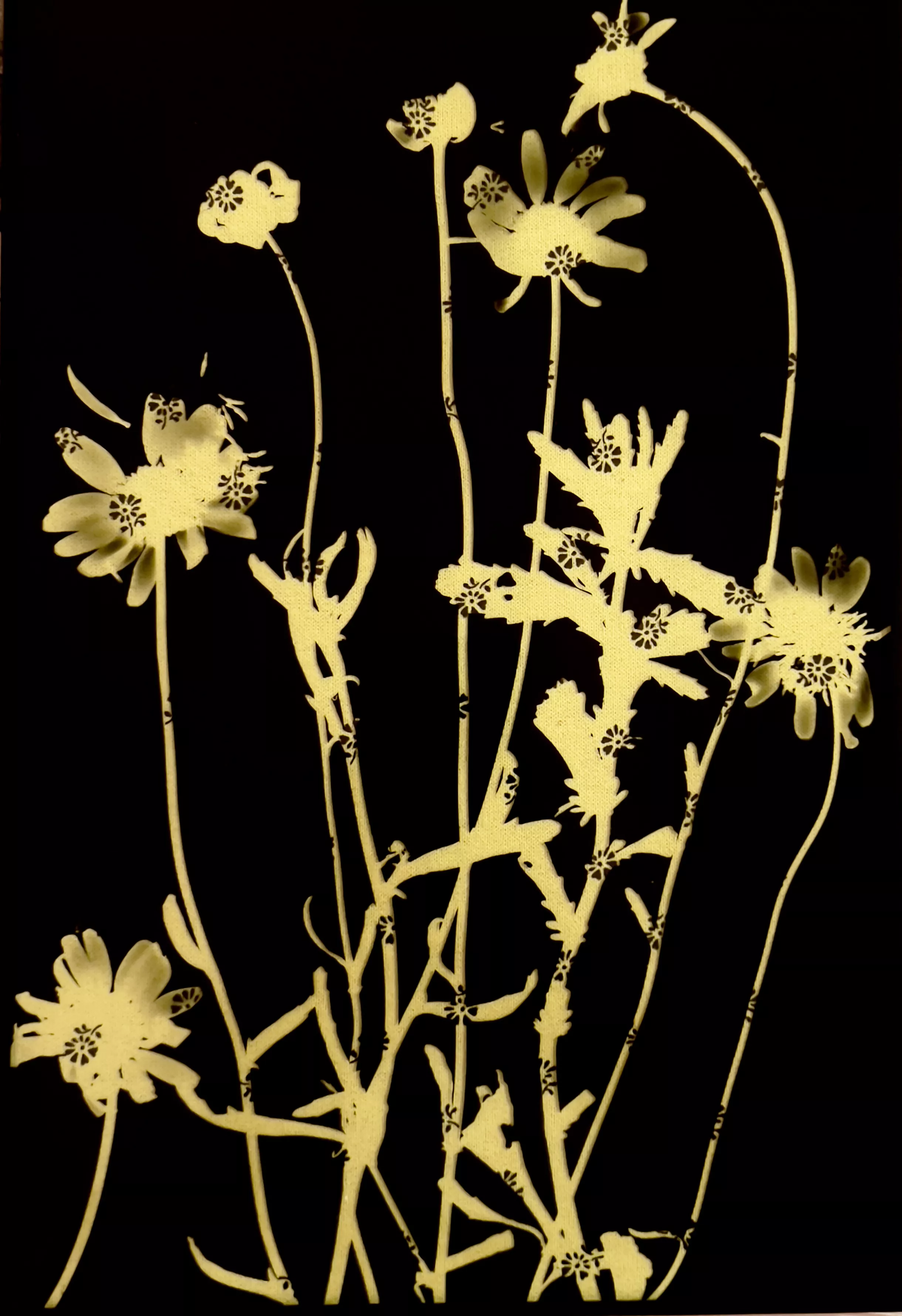 Les fleurs de Maligny Caroline Chik