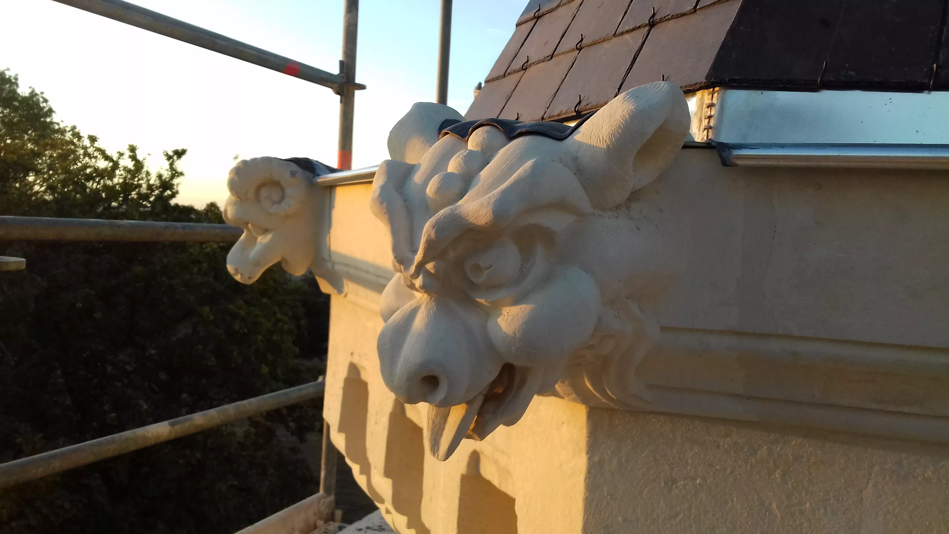 Taille tête de chimères.