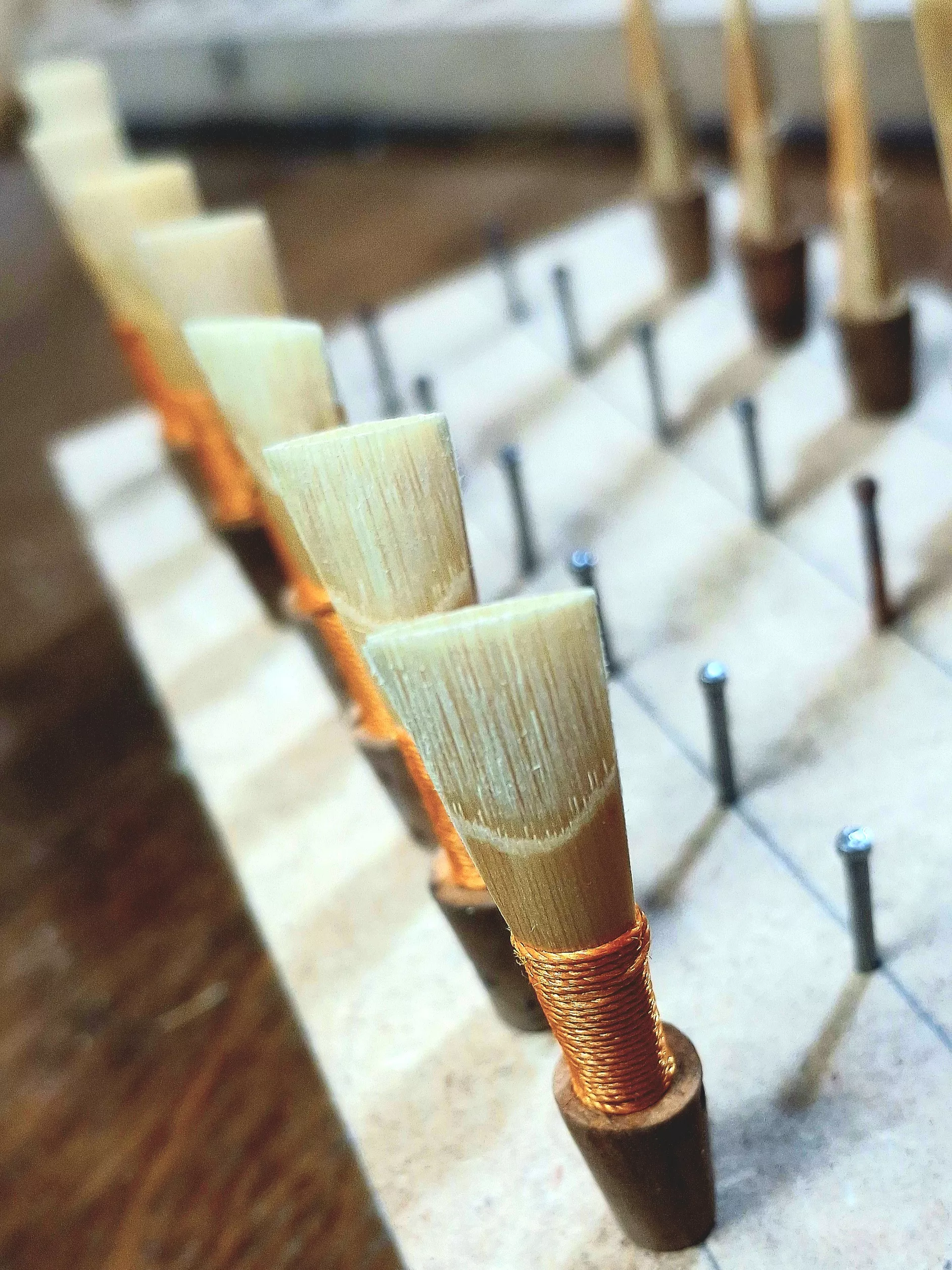 Anche en roseau pour bombarde sib