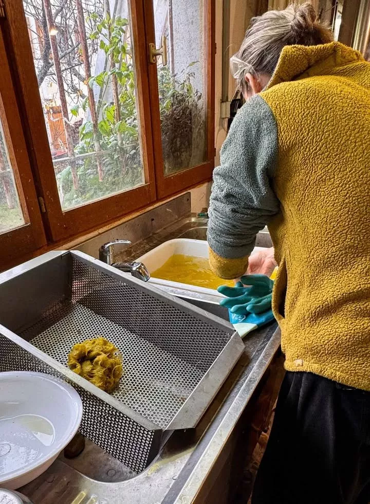 Extraction des fibres de celluloses