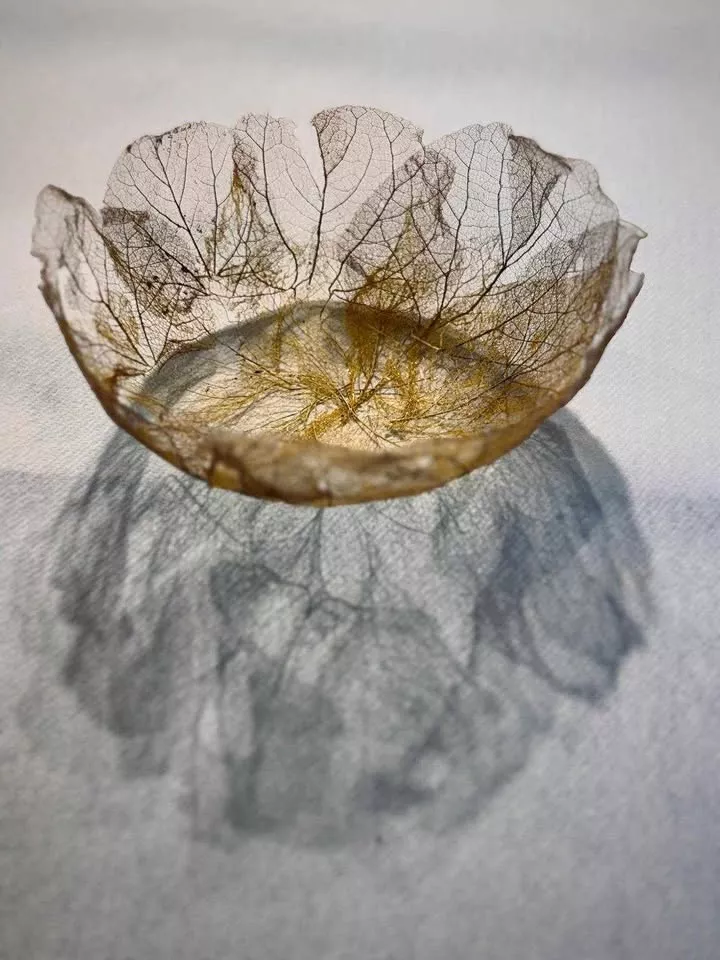 Bol en dentelle végétal