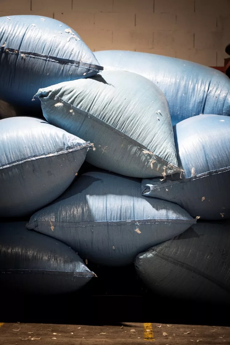 Balots de garnissage