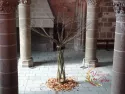 Arbre osier Abbaye Mont St Michel