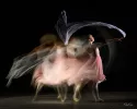Photographie d'une danseuse en mouvement