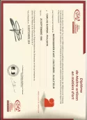 Diplôme Maitre Artisan en Métiers d'Art