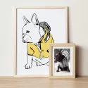 chien bouledogue dessin au trait