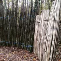 Perches de châtaigniers