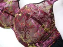 BRODERIE MULTICOLORE