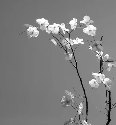 William Amor ©Eglantine Aubry