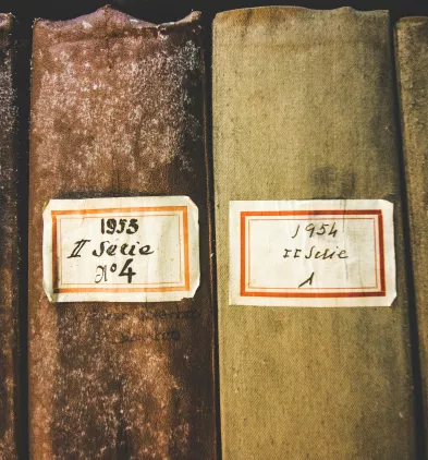 Caratina Carvalho - Unsplash