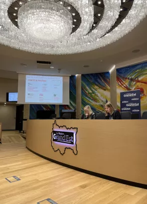 Restitution Eclaireurs en région Grand-Est