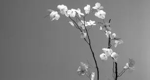 William Amor ©Eglantine Aubry